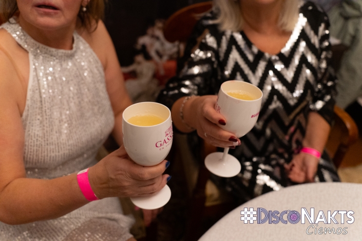 Padures muiža. Disco 80-90 noskaņa.